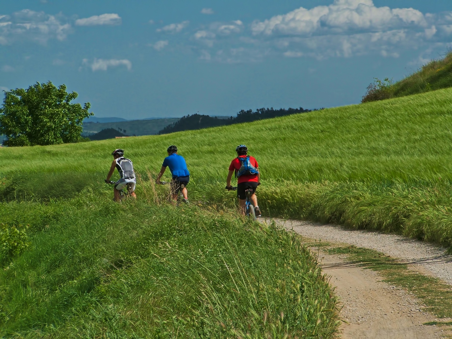 men cycling