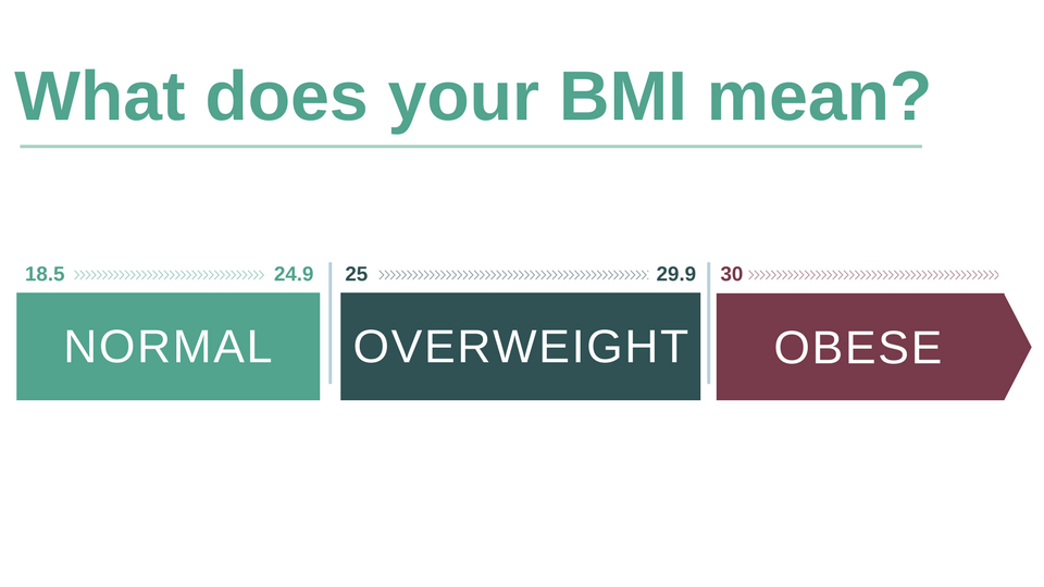 BMI Infographic 2