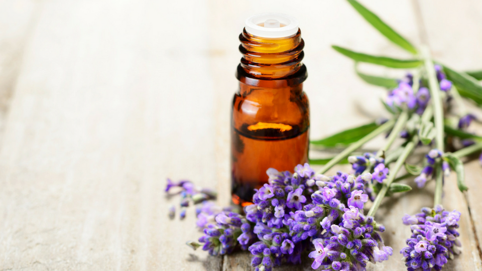 lavender essential oil