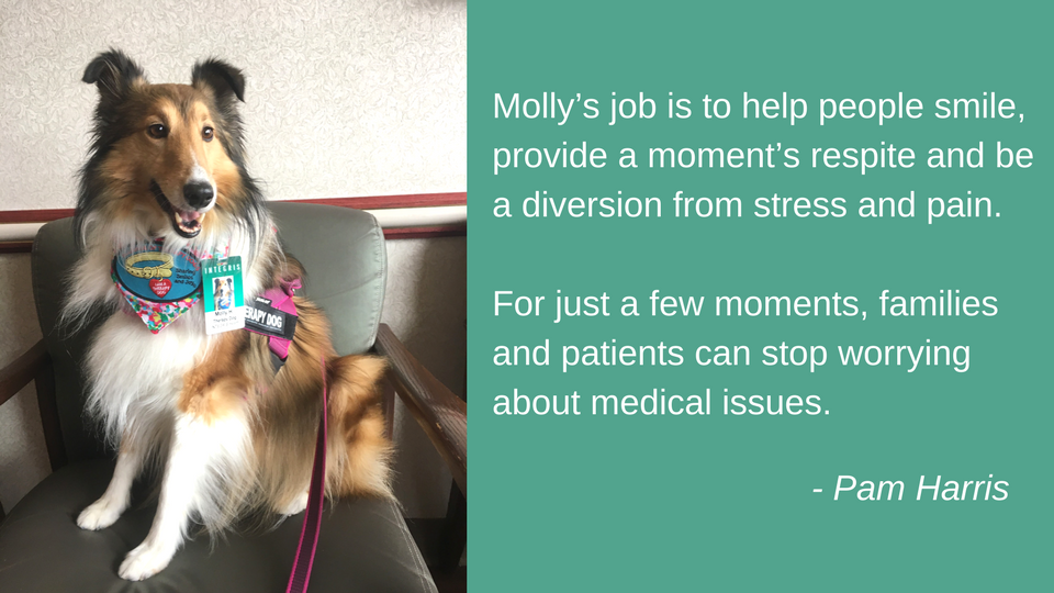 Molly the therapy dog infographic