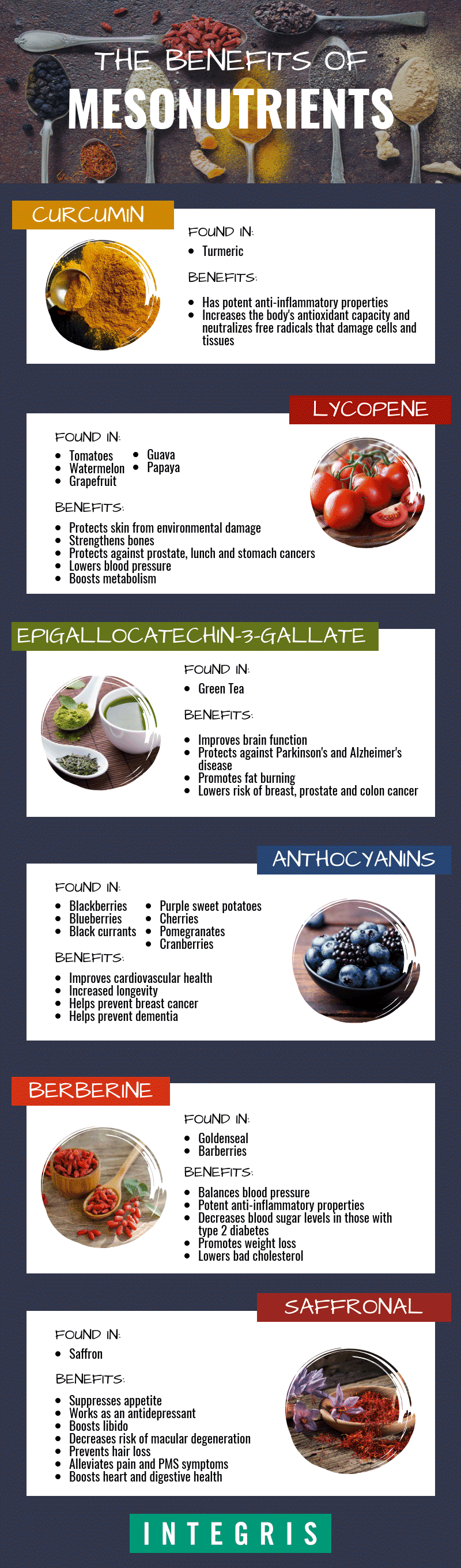 mesonutrient infographic