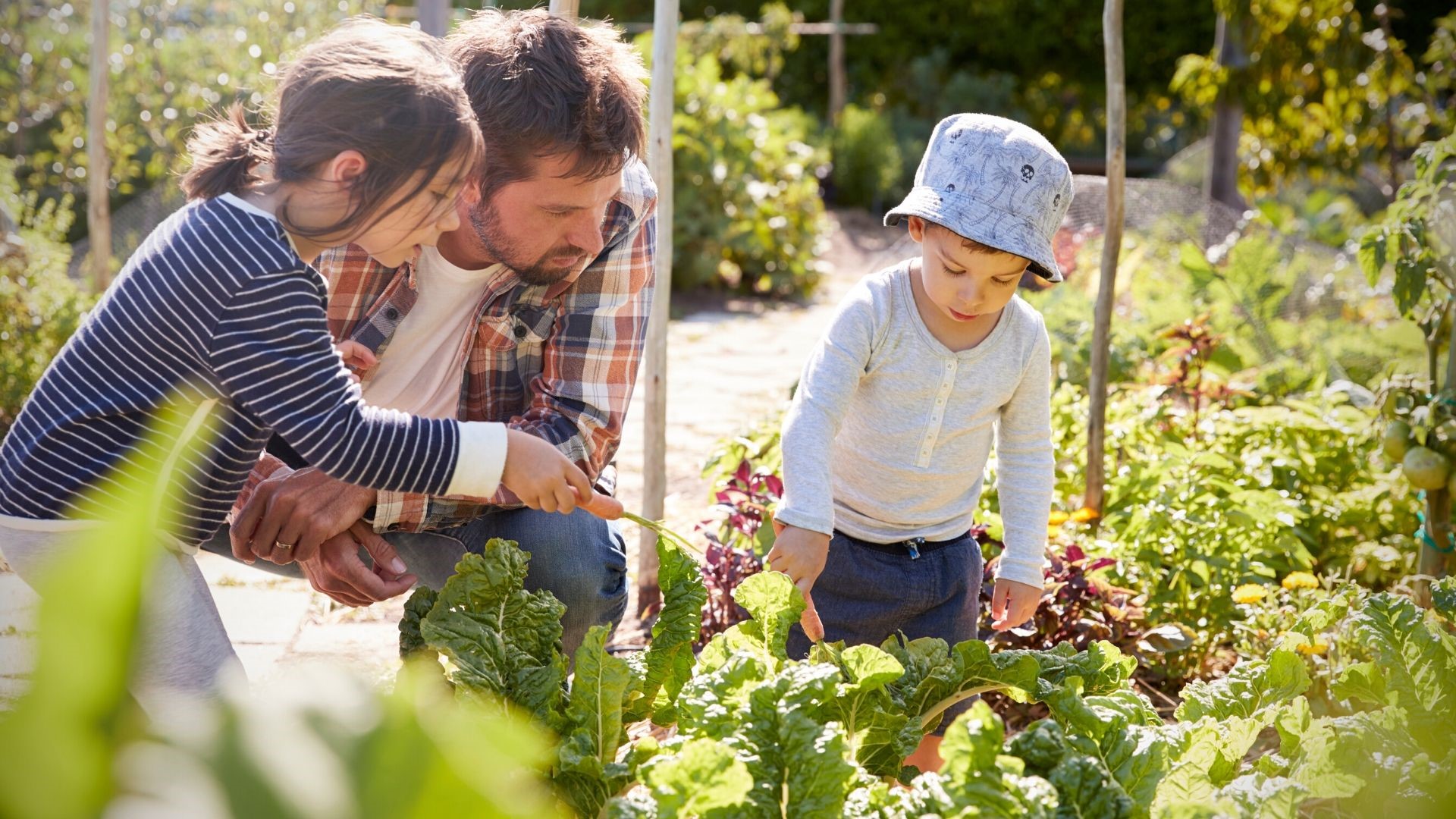 Family Gardening Together Enjoying Outside