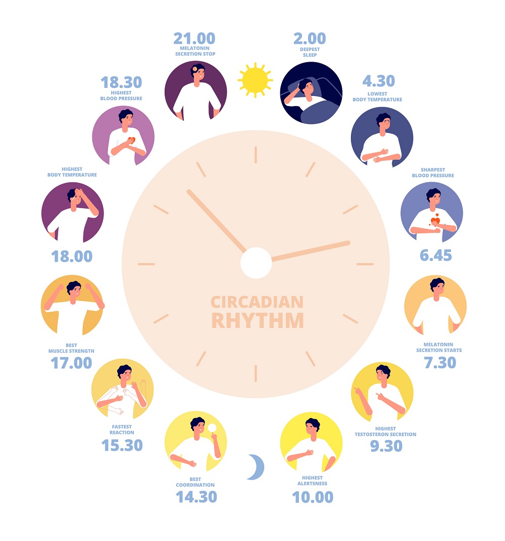 Circadian Rhythm