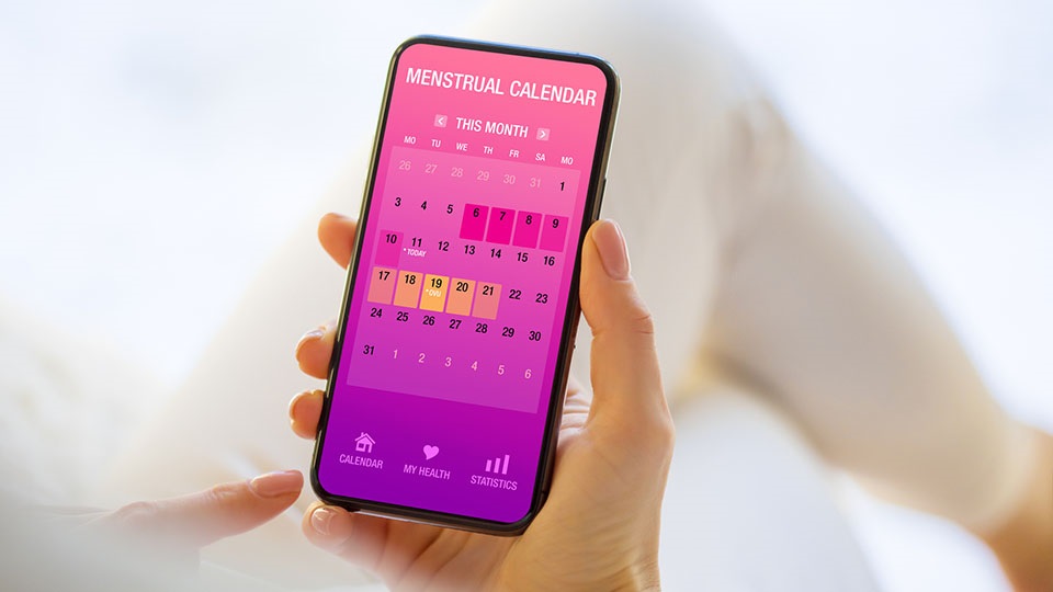 Menstrual cycle calendar