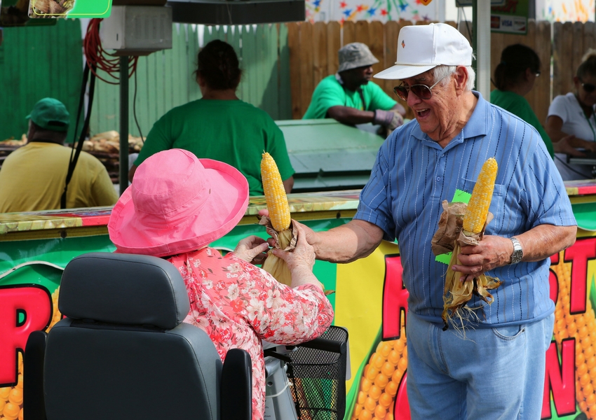 Corn at the Stand